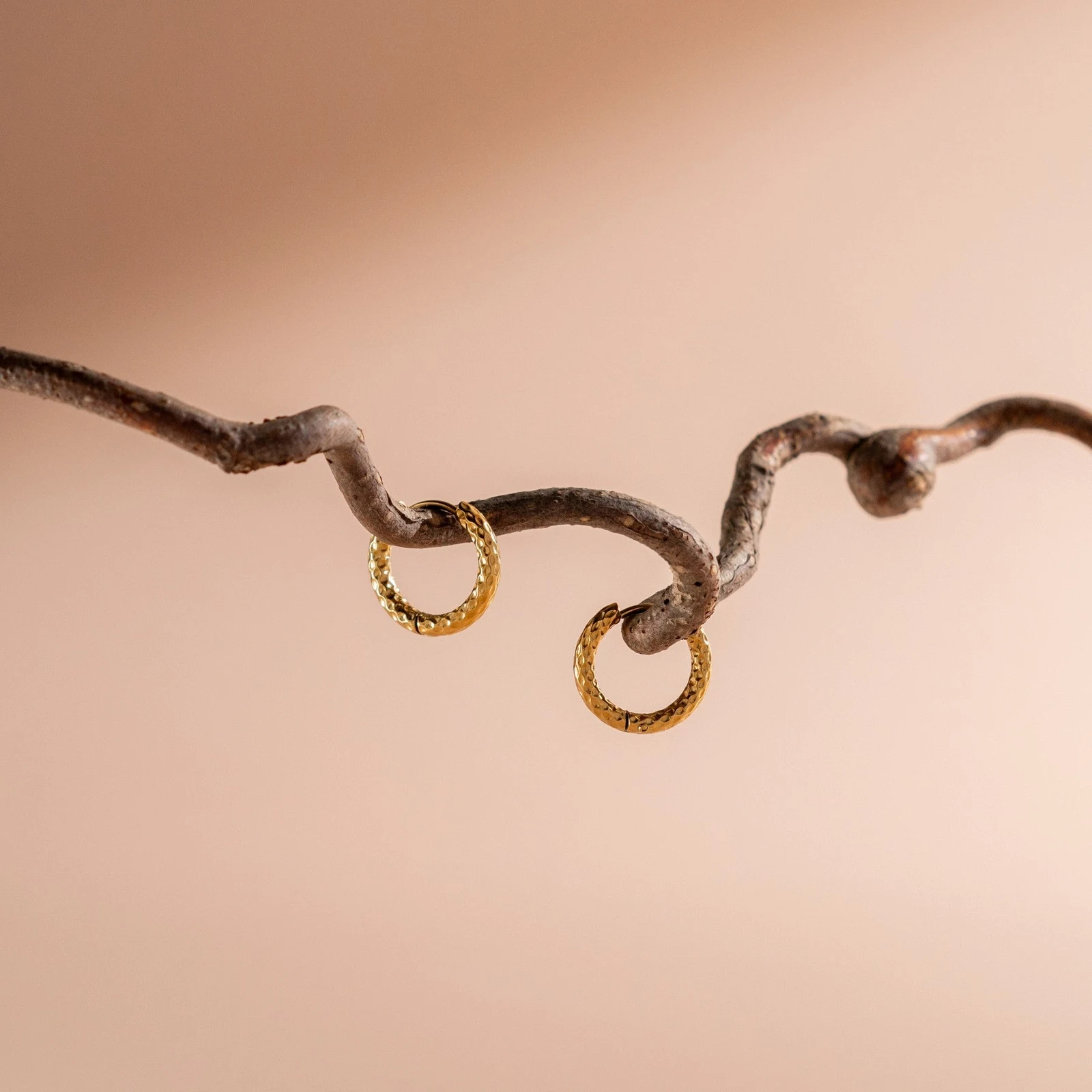 Hammered Hoops Earrings - reviewed gold-color source photograph
