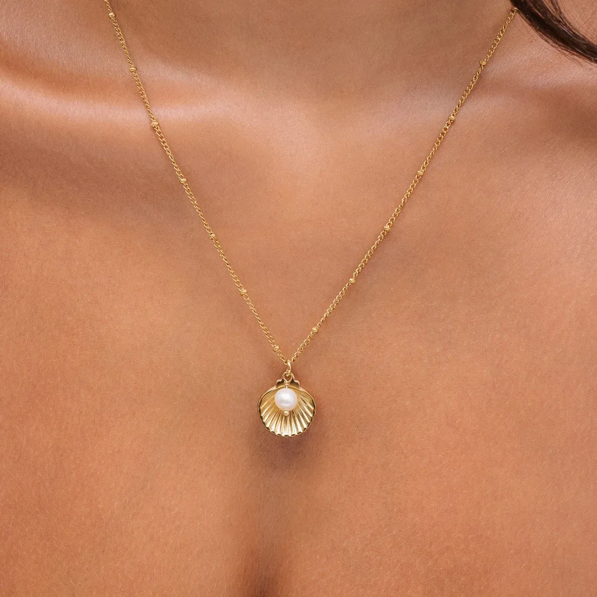 Seashell Necklace - reviewed exact-variant source photograph