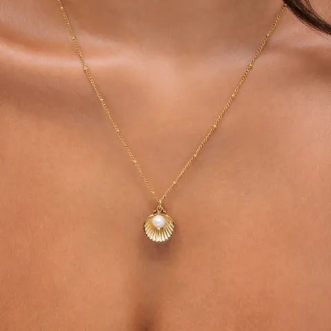 Seashell Necklace