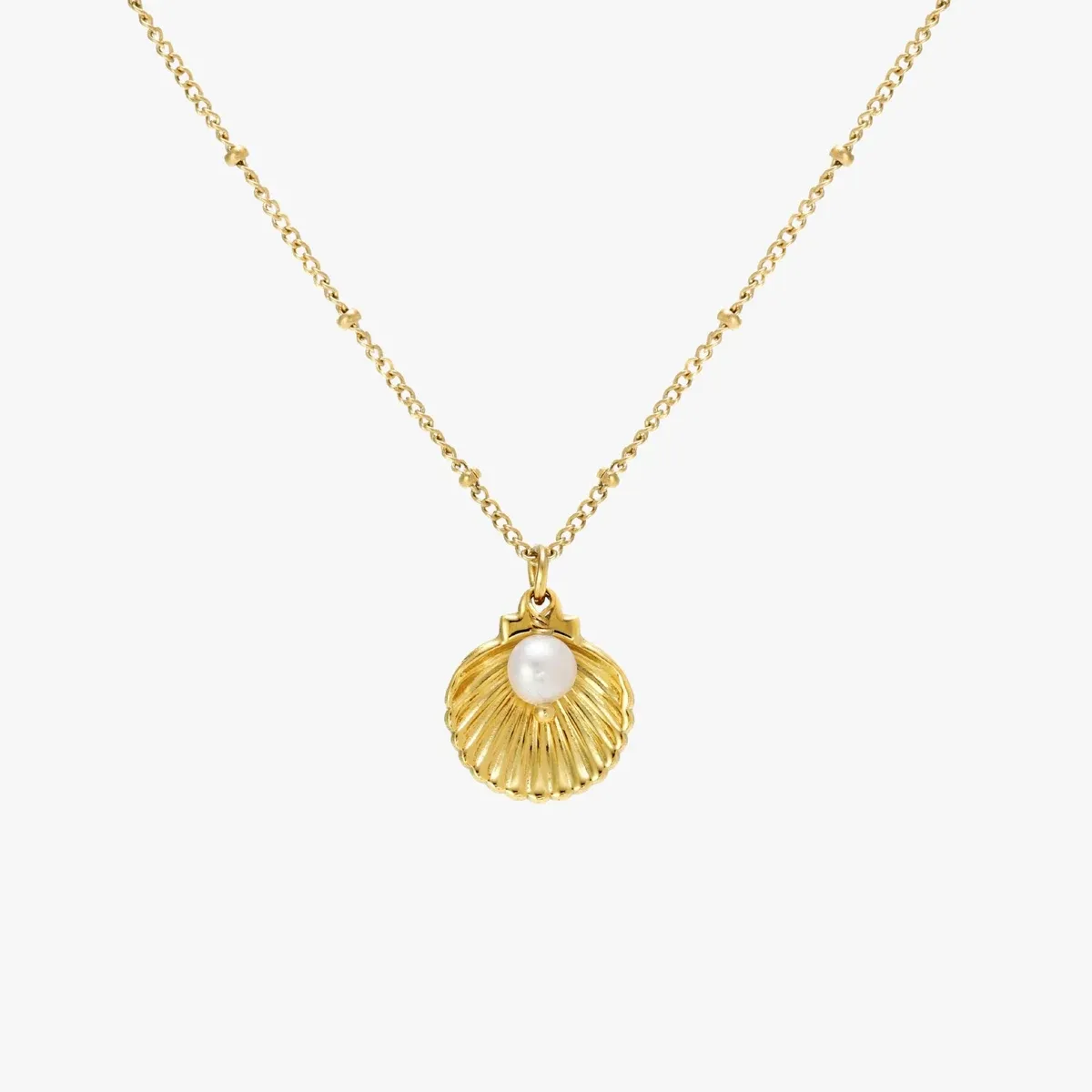 Seashell Necklace - lead view